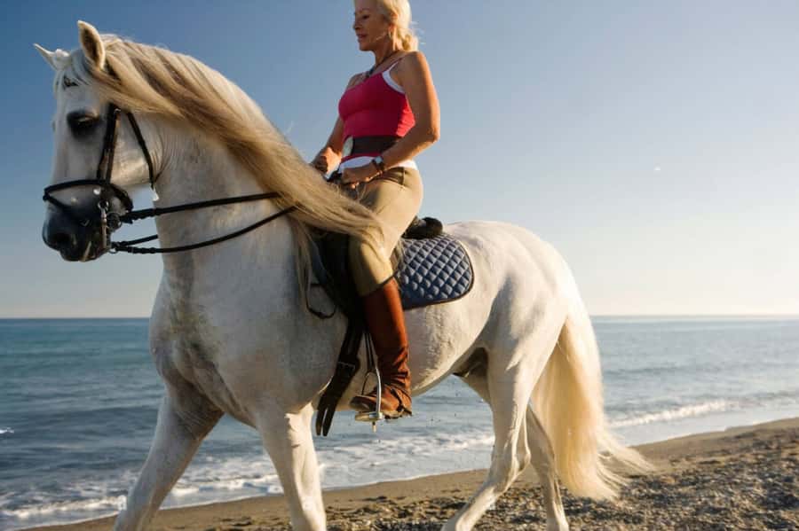 Casablanca: Beach Horseback Riding with Hotel Transfers - Booking Details and Practical Advice