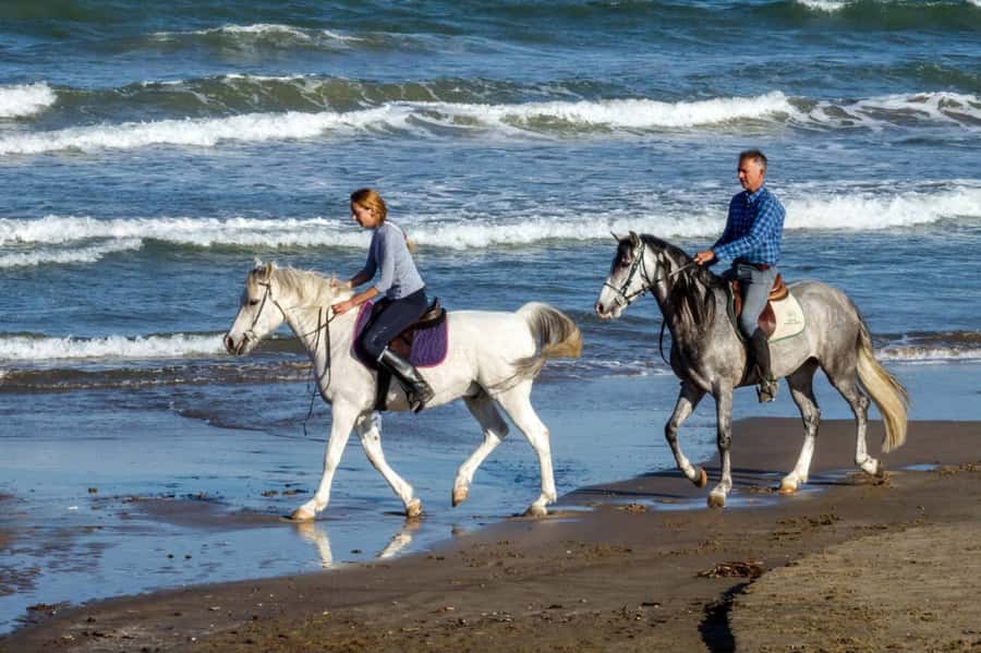 Casablanca: Beach Horseback Riding with Hotel Transfers - One Hour Along the Sand and Surf