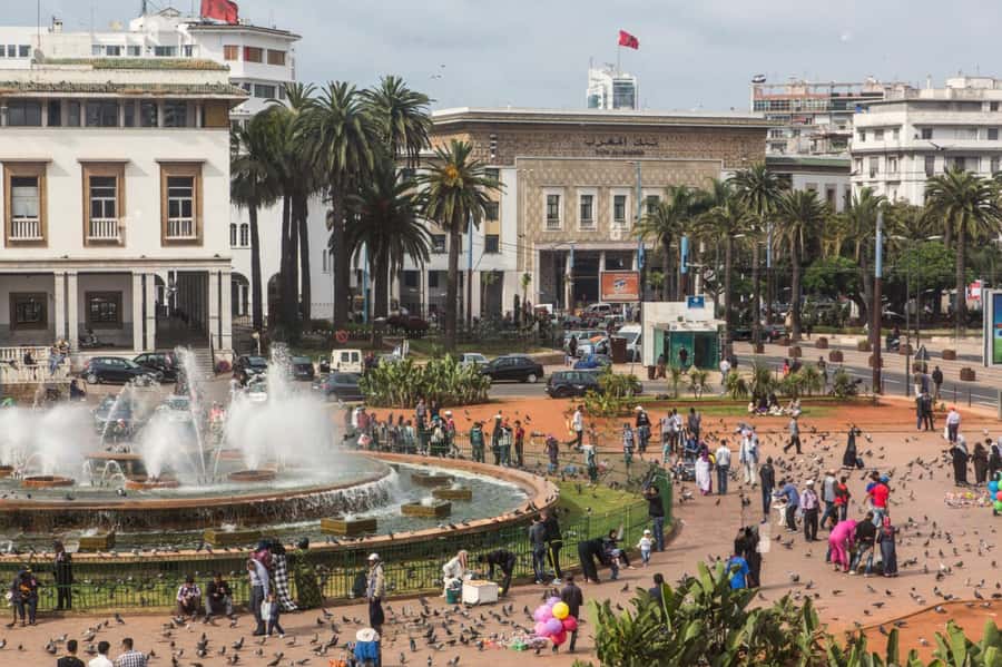Casablanca City Tour with Hotel Pickup and drop off - A driver and guide make the half-day practical