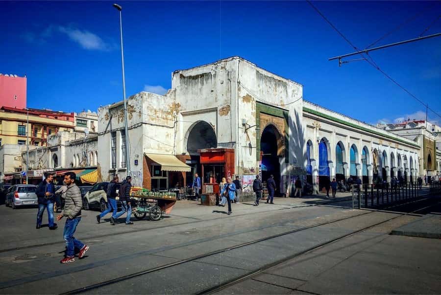 Casablanca Full-Day City Tour with round-trip hotel transfer - Guides, language, and the feel of the day