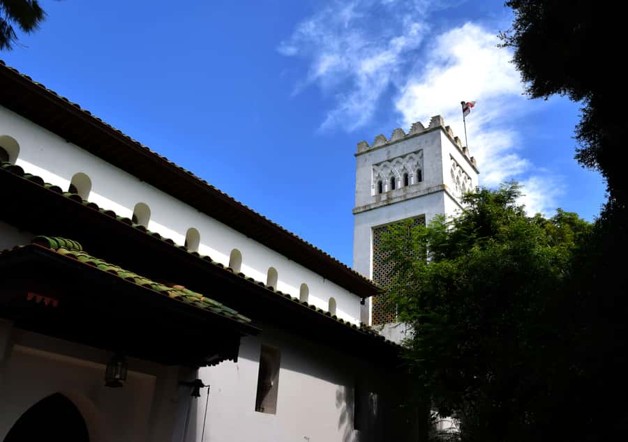 Casablanca: Tangier Day Tour by High-Speed Train - The guide and driver make a real difference