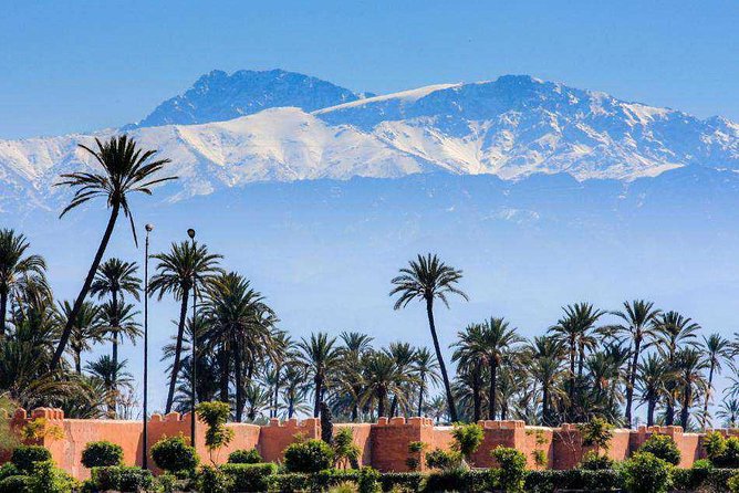 Casablanca to Marrakech Day Trip with Camel Ride - The real shape of this Casablanca day trip