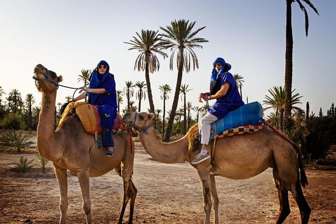 Casablanca to Marrakech Day Trip with Camel Ride - Saadian Tombs and Bahia Palace
