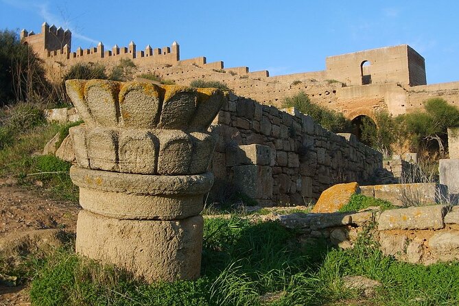 Casablanca to Rabat Full-Day Trip - Who should book this Rabat day trip?