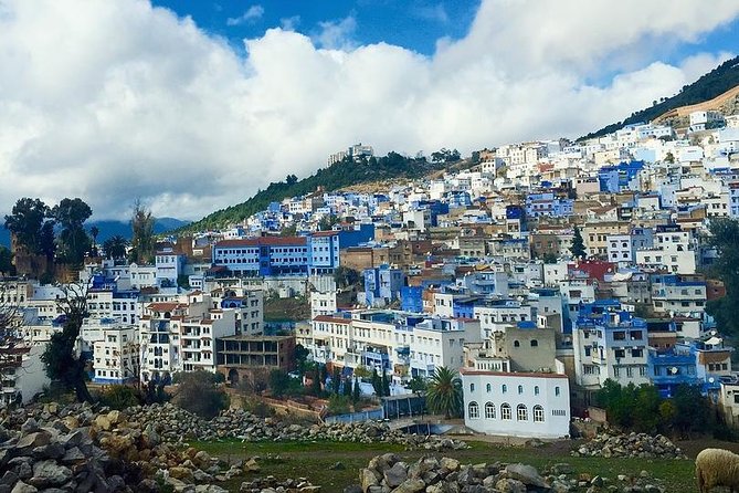 Chefchaouen Day Trip from Fes - The blue lanes of Chefchaouen are worth the effort