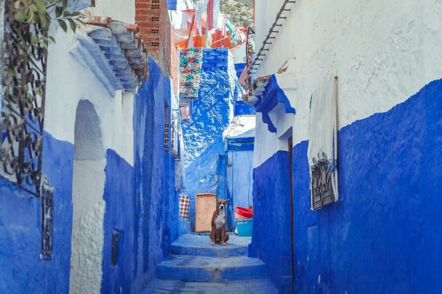 Chefchaouen Day Trip from Fez (Shared Group Tour) - Four hours in the blue medina