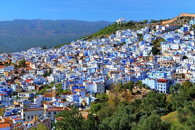 Chefchaouen the Blue City Full-Day Trip from Casablanca - Is $261.71 per person a fair price?