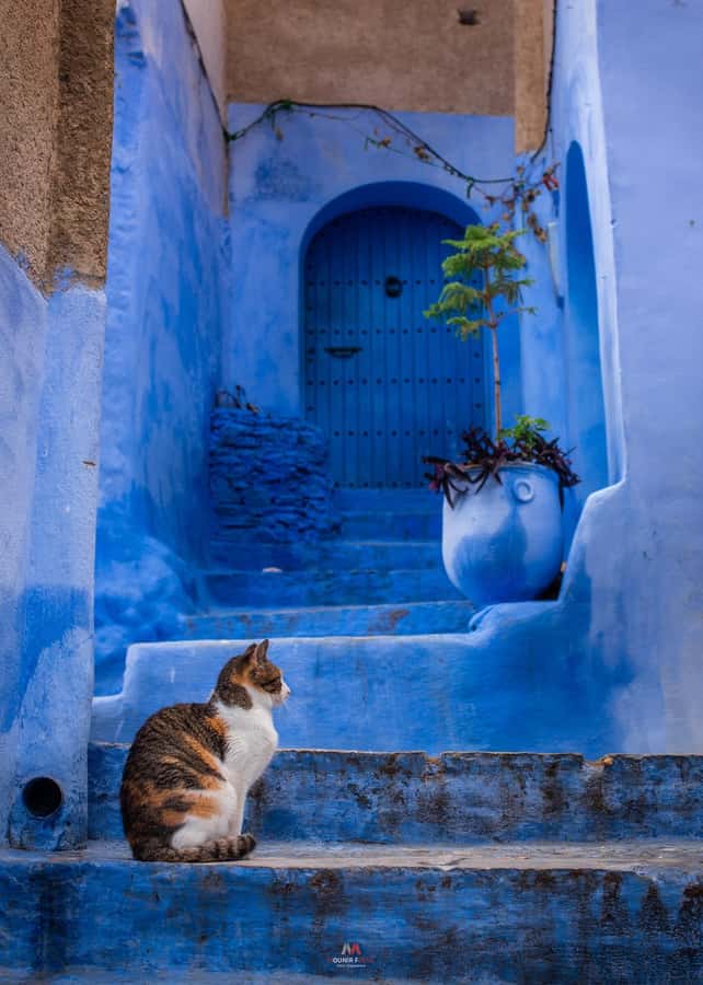 Chefchaouen tour guide - Ras El Maa and the water that shaped the town