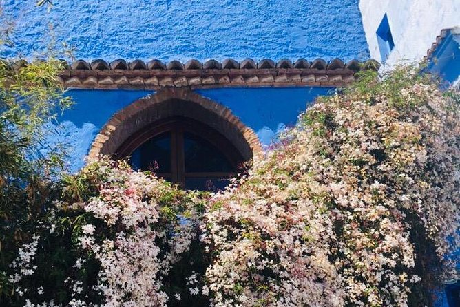Chefchaouen Transfer to or from Fes - What makes the private format worth considering