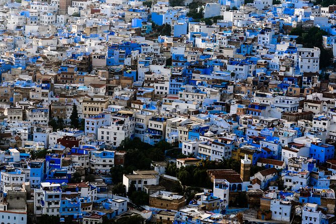 Chefchaoun The Blue Pearl - Private Day Tour From Fez - Who should take this private day trip?