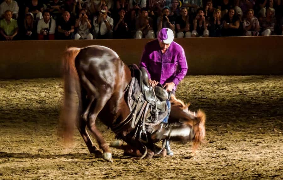 Chez Ali Dinner & Horsemen Show From Marrakech - Key points to know before booking