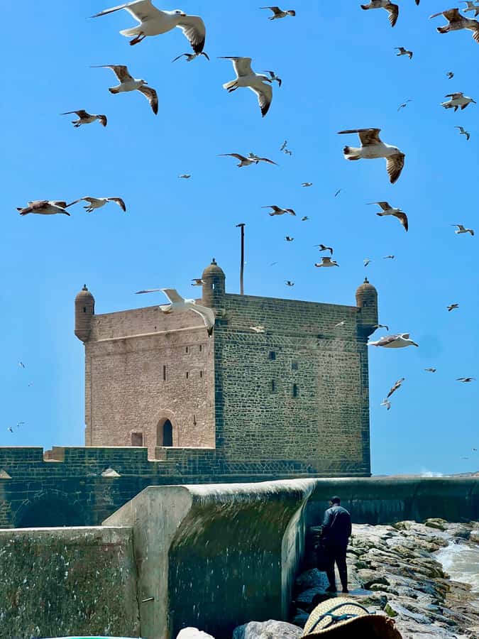 Day Excursion From Marrakech to Essaouira City - Souks, crafts, and the artisans’ lane