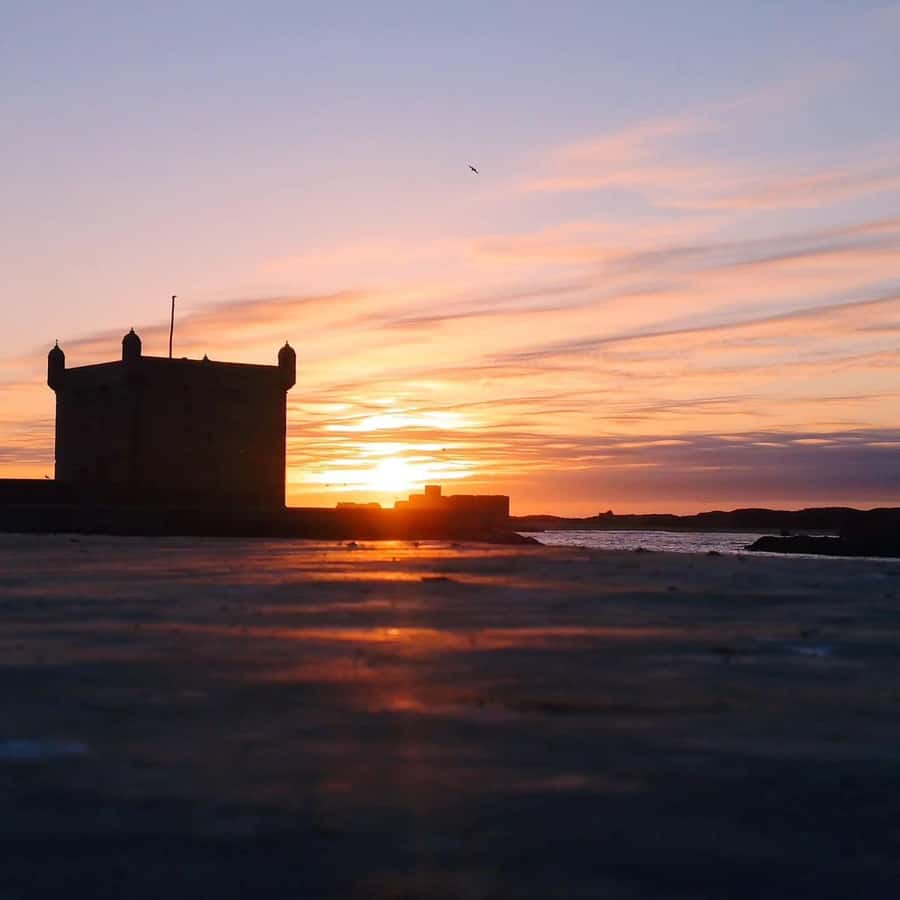 Day Excursion From Marrakech to Essaouira City - Who will enjoy this Essaouira day trip most