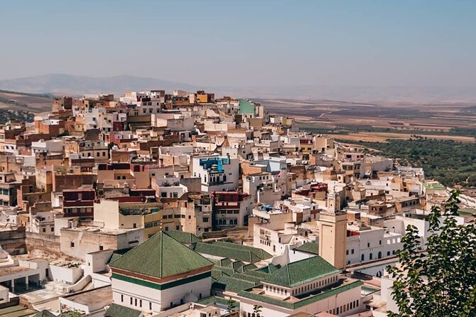 Day Tour to Volubilis & Meknes from Fes - Who should book this day trip