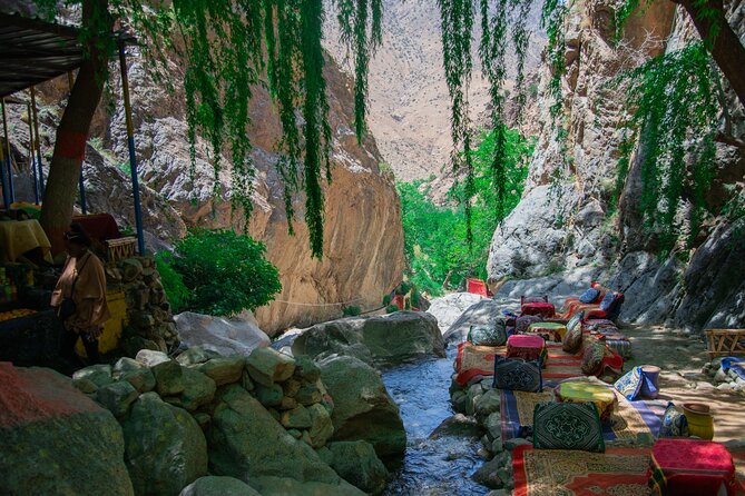 Day trip - Atlas Mountains Ourika Valley Waterfall From Marrakech - The women’s argan oil cooperative