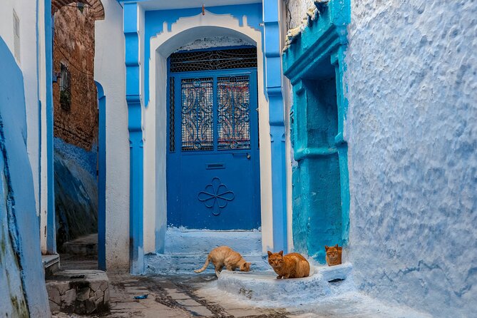Day Trip from Fes to Chefchaouen - The driver makes a real difference