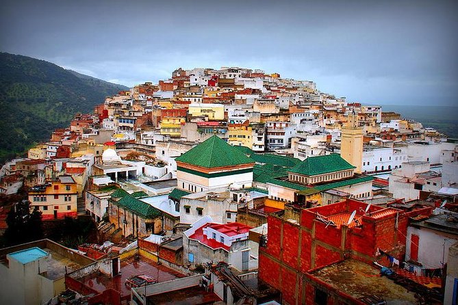 Day trip from Fes to Volubilis Moulay Idriss & Meknes - Who will like this half-day outing?