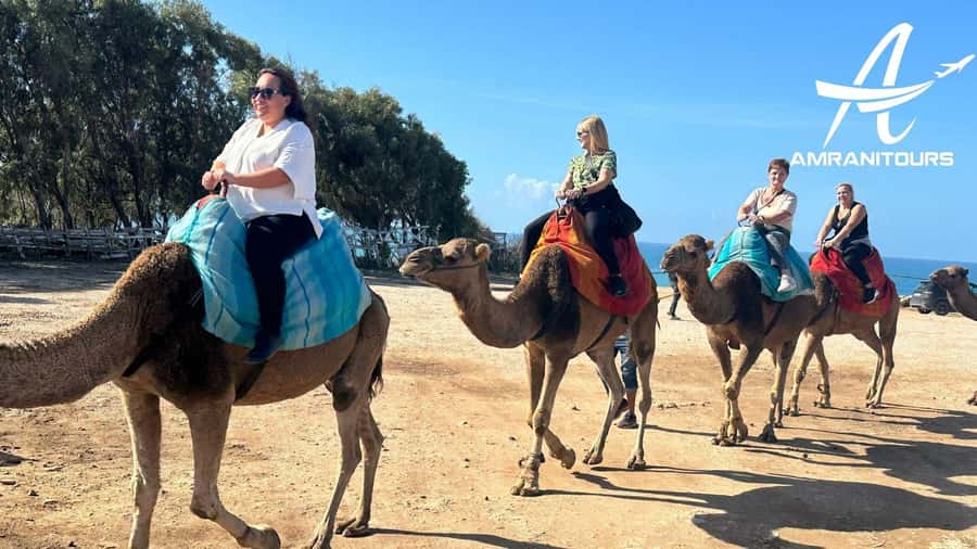 Day trip from Gibraltar to Morocco All Inclusive - Moroccan lunch and afternoon free time