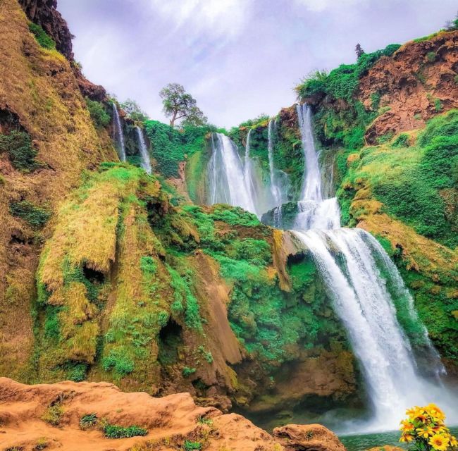 Day trip from Marrakech to Ouzoud Waterfalls - Who will enjoy this day trip most