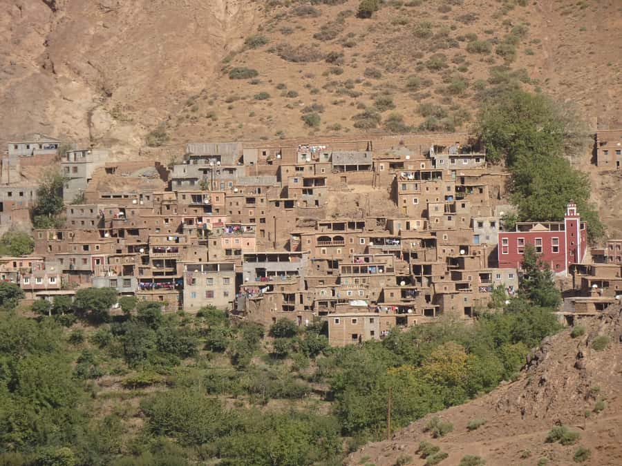 Day Trip To Atlas Mountain and Berber Village From Marrakech - Bread, argan oil, and Moroccan tea