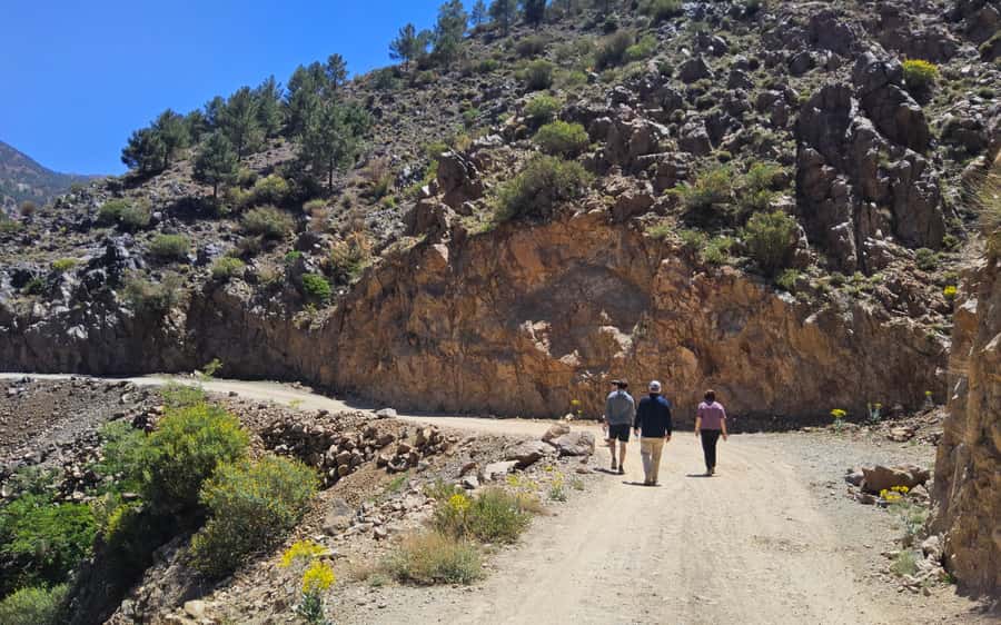 Day Trip To Atlas Mountain and Berber Village From Marrakech - Guide quality can shape the whole day