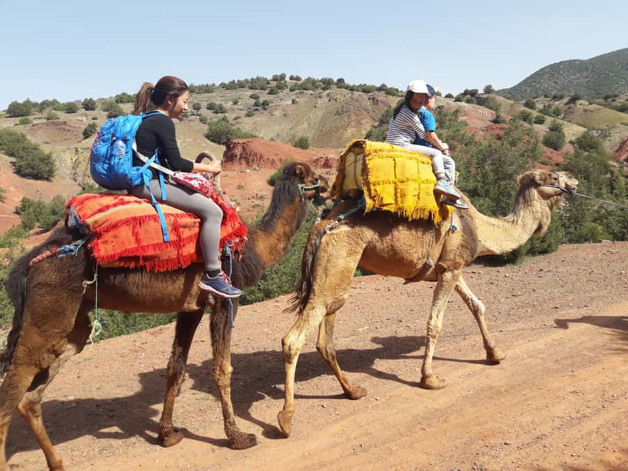 Day Trip To Atlas Mountain and Berber Village From Marrakech - Saturday has one extra local stop