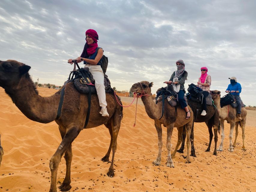 Day trip to Essaouira - What the drivers add to the day