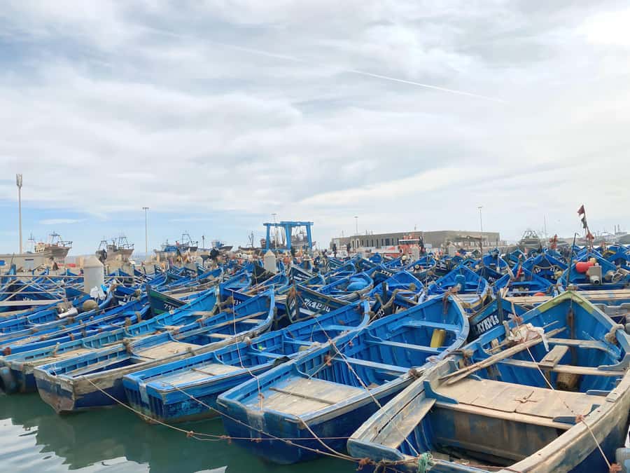 Day trip to Essaouira - Why Essaouira makes a good break from Marrakech