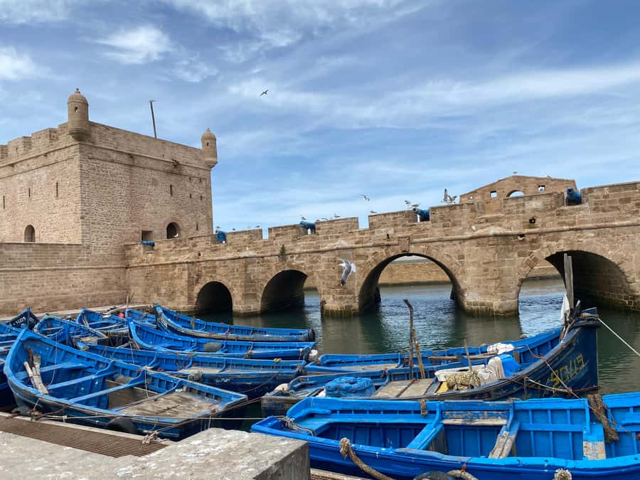 Day trip to Essaouira - Beach time and the Atlantic breeze