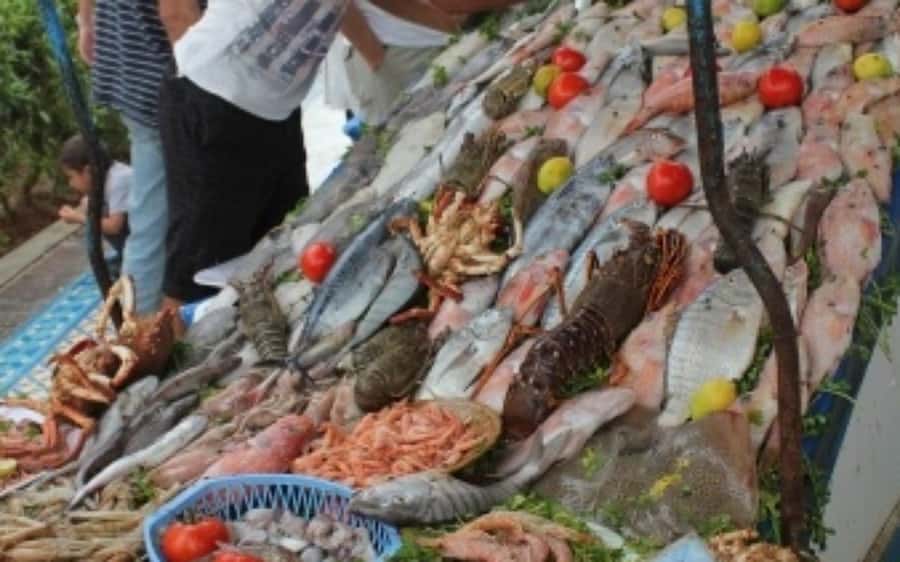 DAY TRIP TO ESSAOUIRA FROM MARRAKECH - The port, fish lunch, and beach time