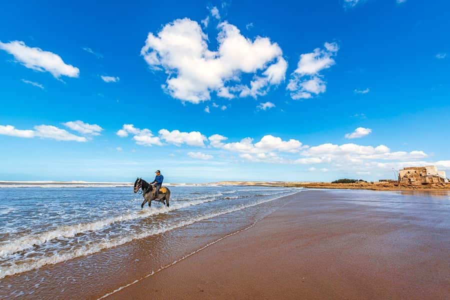 Day Trip To Essaouira From Marrakech With Guide - The ride back to Marrakech
