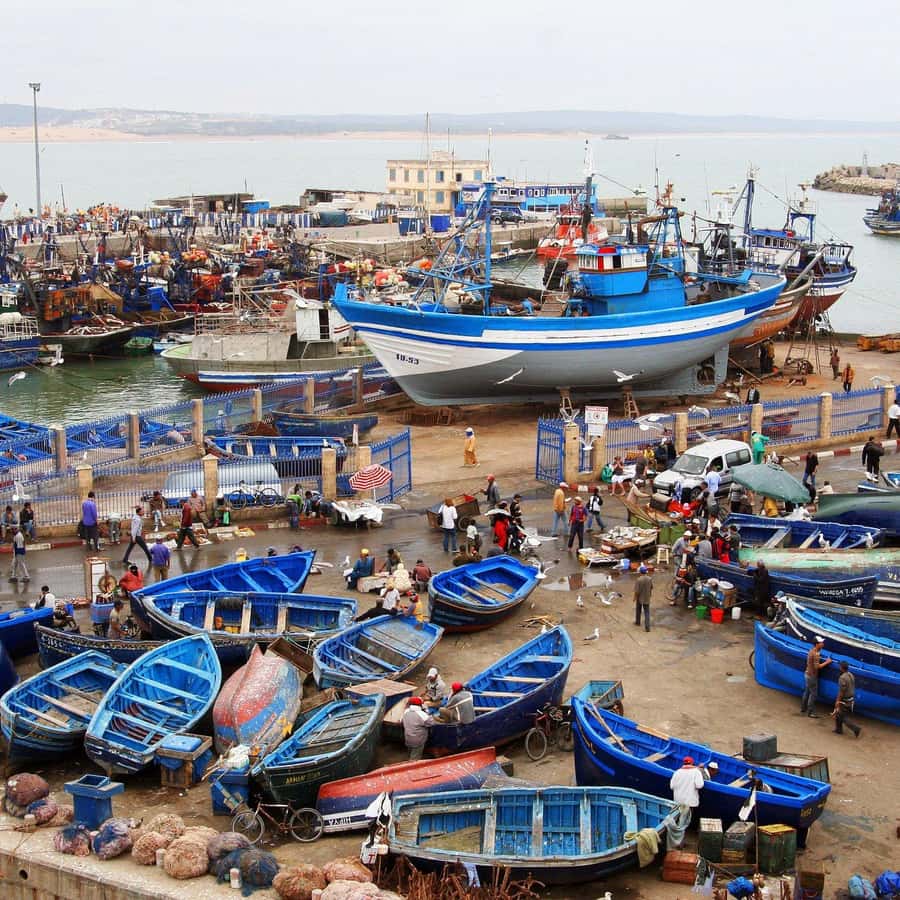 Day Trip To Essaouira From Marrakech With Guide - The early pickup and long Atlantic road