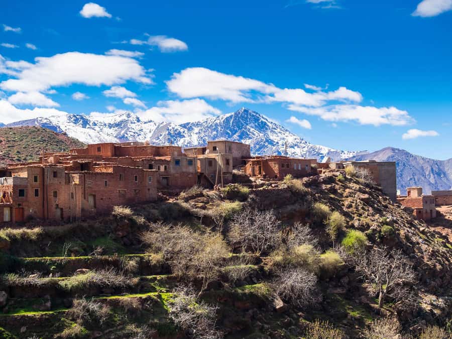 Day Trip to Ourika Valley & Atlas Mountains with Lunch - What the $13 price really offers