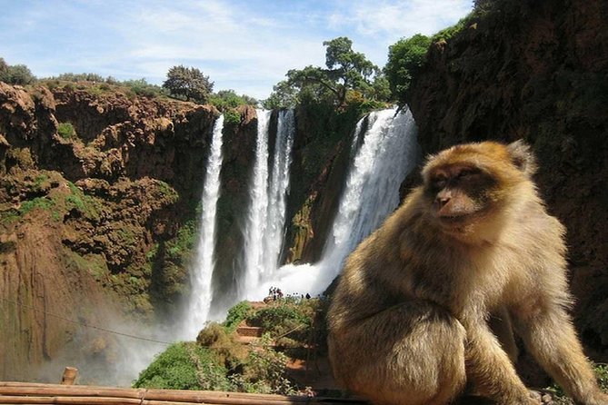 Day Trip To Ouzoud Waterfalls (Guide Hike & Boat are options) - What the optional local guide adds