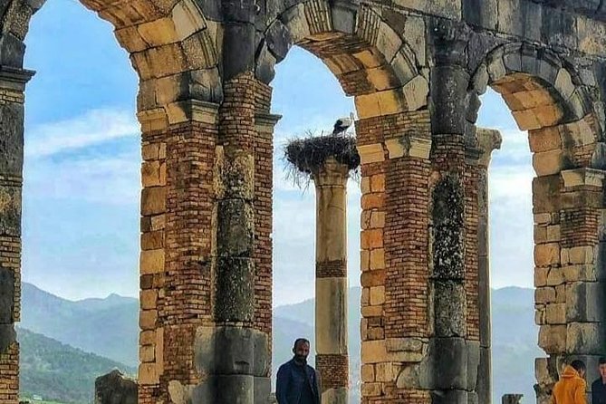 Day Trip To : Volubilis / Moulay Idriss / Mekness - The Fez pickup and morning drive