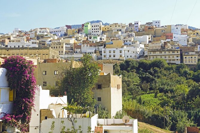 Day Trip To : Volubilis / Moulay Idriss / Mekness - Walking through Volubilis in two hours