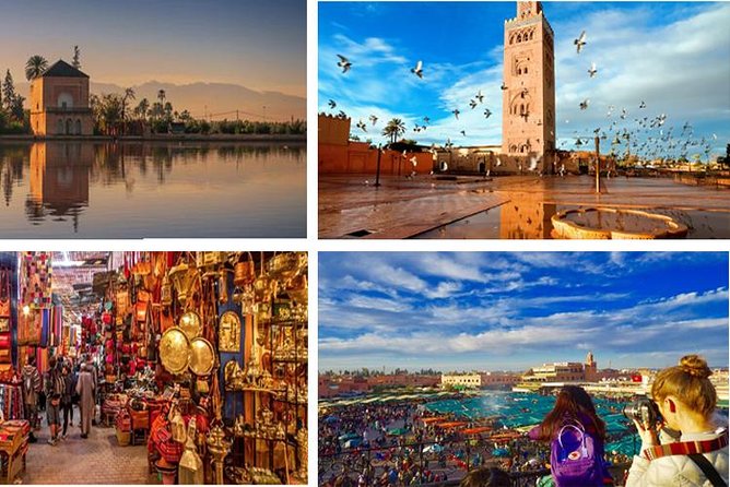 Day Trips from Agadir to Marrakech with Amazing guide - Who should book this Agadir to Marrakech day trip?