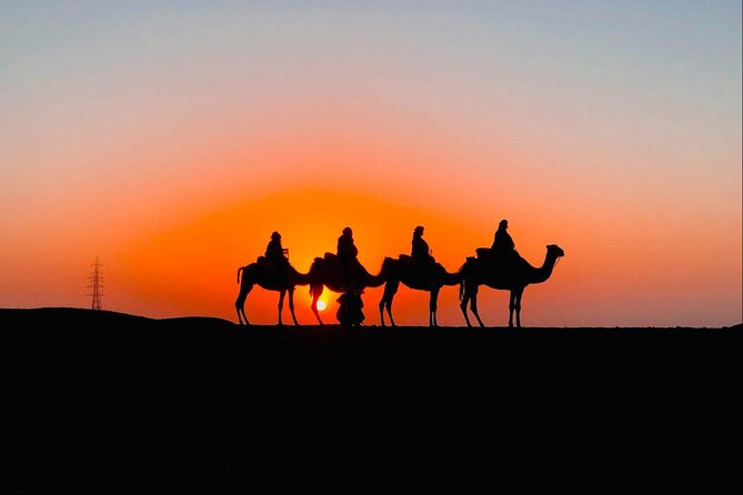 Desert Agafay & Atlas Mountains, Valleys & Waterfalls Tour from Marrakech - What the guides add to the day