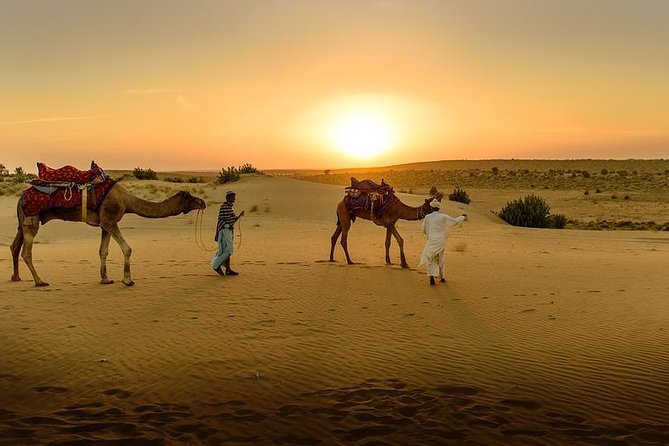 Desert Agafay & Atlas Mountains, Valleys & Waterfalls Tour from Marrakech - Is $17.38 good value?