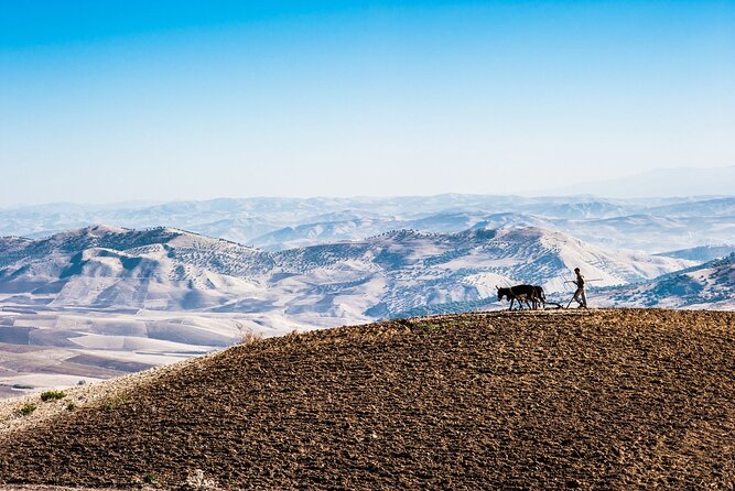 Desert Agafay & Atlas Mountains, Valleys & Waterfalls Tour from Marrakech - Camel riding with Atlas views
