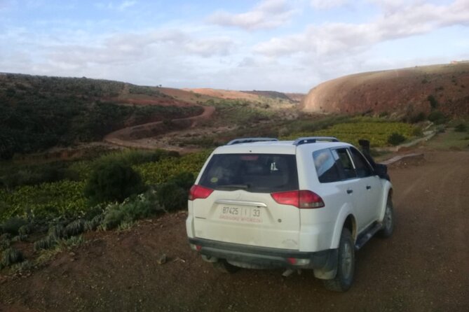 Desert and Ocean Private Day Tour - Tifnit brings you close to the dunes