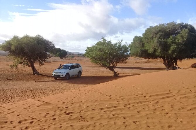 Desert and Ocean Private Day Tour - How much value do you get for $104.53?