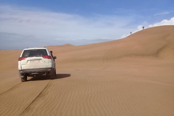 Desert and Ocean Private Day Tour - Comfort, timing, and the practical side of the day
