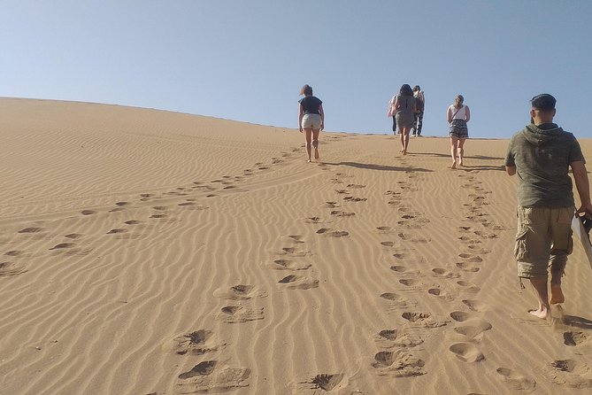 Desert and Wild Beach Day Trip with Meal - Key points to know before booking