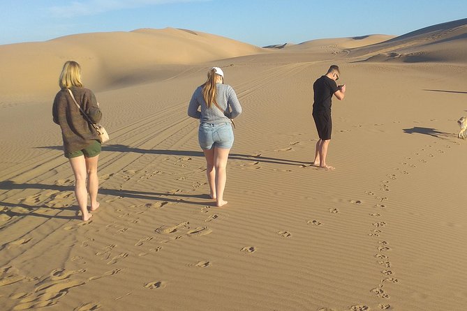 Desert and Wild Beach Day Trip with Meal - How the private format changes the day