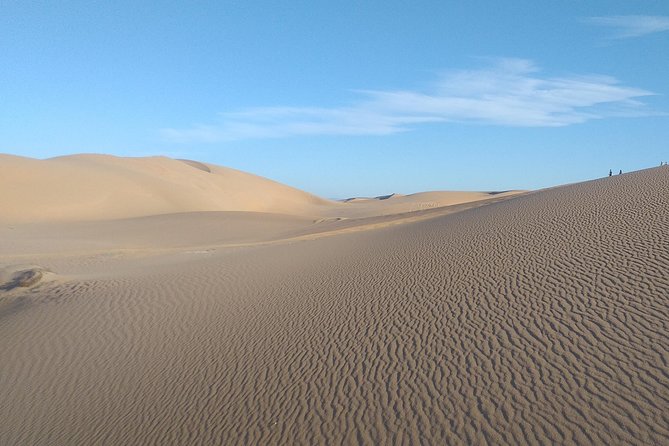 Desert and Wild Beach Day Trip with Meal - The main drawback: time on the road