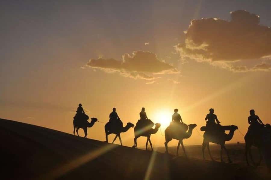 Desert & Beach Quad Adventure With Camel Ride - Quick reasons to choose this adventure