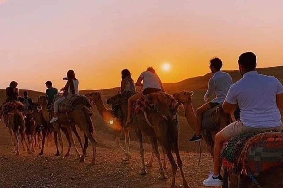Desert & Beach Quad Adventure With Camel Ride - From Agadir to the Takate riding area