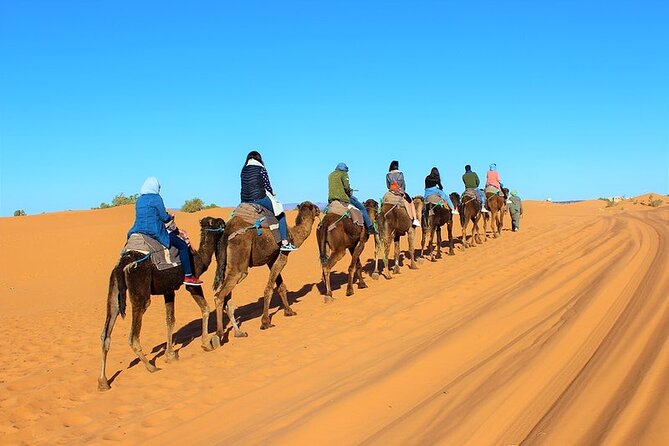 Desert Trip:Fès-Merzouga(1 Night)-Ouarzazat(1 Night)-Marrakech - Ait-Ben-Haddou, the trip’s strongest historic stop