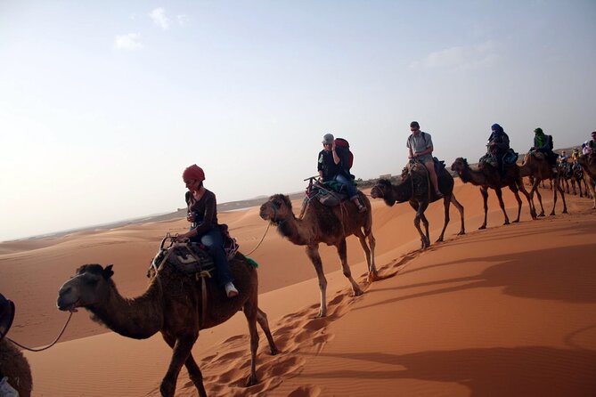 Desert Trip:Fès-Merzouga(1 Night)-Ouarzazat(1 Night)-Marrakech - Price, group size, and what you really pay